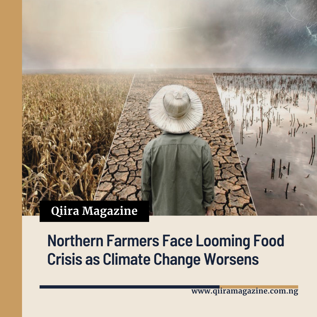 Northern Farmers Face Looming Food Crisis as Climate Change Worsens