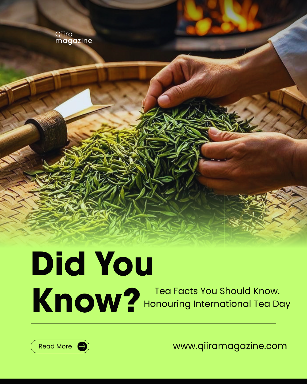 Fact You Need To Know About Tea; F